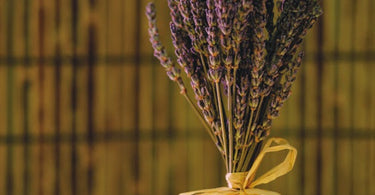 Relax With Lavender