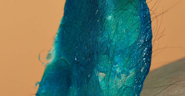 Berodin Blue Wax Melting in Warmer
