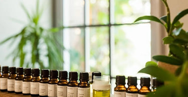 Top 10 essential oils every spa, salon, and wellness professional should have