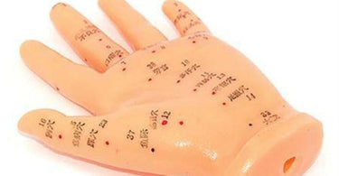 Detailed 5-inch hand model displaying acupuncture meridians and pressure points in a professional spa setting on a bamboo mat.