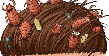 Barbicide disinfectant solution used in salons to kill lice and maintain hygiene