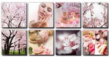 Alfalfa Pink Cherry Blossoms Canvas Mural Ensemble for spa and salon decor