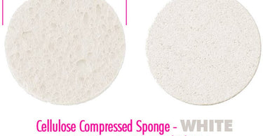 Close-up image of white compressed cellulose sponges, showing their flat, compact form next to one that has been expanded with water, demonstrating the dramatic size change.