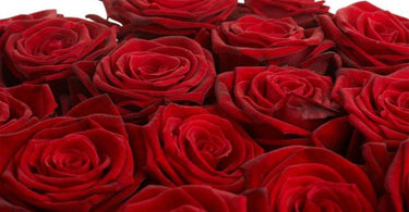 Valentines Day Gift Guide!