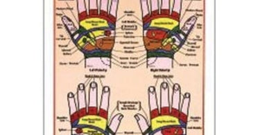 A colorful and detailed hand reflexology chart showing pressure points and zones on the palm and back of the hand for professional spa and massage therapy use.