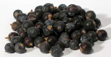 A close-up view of Juniper Berries Whole by AG Naturals, showcasing the dried, purple-brown berries scattered on a natural surface for spa body treatments.