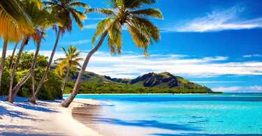 Organic Fiji Island-Inspired Natural Elegance Skincare