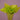 Aloe Tissue Paper 20"x30" / 480 sheet