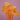 Apricot Tissue Paper 20"x30" / 480 Sheets