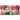Canvas Murals - Fresh Pink Ensemble Ii by Alfalfa