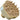 Cricket Scalp Massage & Shampoo Brush