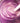 Dermwax Elite - Sparkle Lilac - Stripless Hard Wax Beads / 20 Lb. Bag by Dermwax