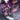 Dermwax - Galaxy Purple - Stripless Hard Wax Beads / 20 lb. Bag by Dermwax