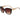 Giselle Square Sunglasses - Assorted Colors