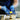 GlovePlus Blue Vinyl Industrial Latex Free Disposable Gloves | Sizes S-XL | 100 Gloves/Box; 10 Boxes/Case = Case of 1,000 by Ammex