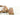 Intrinsics Cellulose Compressed Sponges - Natural - 2.75" Diameter / 75 Count