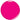 Kiara Sky Soak Off Gel Polish + Matching Lacquer - Pink Up The Pace by Kiara Sky