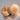 Knobble II by Pressure Positive
