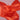 Mandarin Red Tissue Paper 20"x30" / 480 Sheets