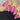 Maniology Dainty Details - Nail Stamping Plate
