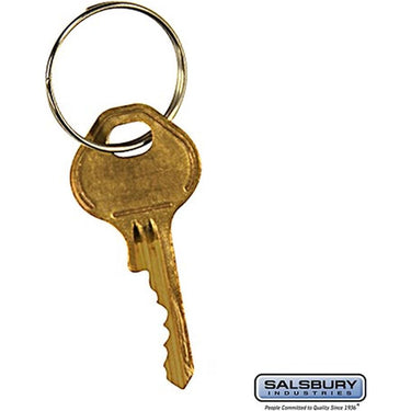 Master Control Key - for Built-in Combination Lock of Cell Phone Locker by Salsbury – Default Title by Salsbury
