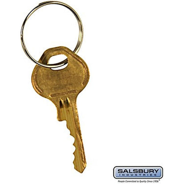 Master Control Key - for Built-in Combination Lock of Open Access Designer Locker and Designer Gear Locker by Salsbury – Default Title by Salsbury