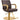 Meteor Gold Hydraulic Styling Chair by DIR Salon Furniture
