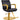 Meteor Gold Hydraulic Styling Chair by DIR Salon Furniture