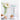 Pharmagel Enzyme Ex-Cell Exfoliate Scrub / 6 oz.
