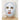 Plant & Vegetable Collagen Mask - Aqua Collagen Mask / Pack of 20 - Each Pre-Moistened 100% Natural and Paraben Free Mask is Single Use by Martinni