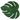 Small Philodendron Mat