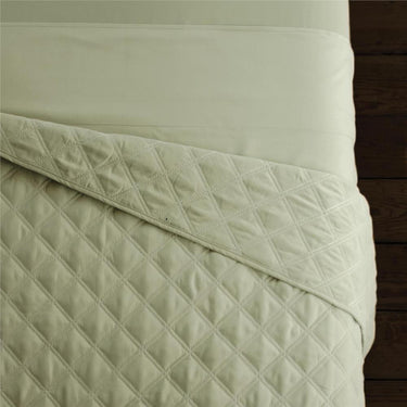 Sposh Microfiber Quilted Blanket / 58"W X 85"L - Available in Cream, White, Coffee, Greenery, Blue Agate, Moonstone & Spa Blue