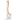 Vertebral Column With Spinal Nerve