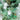 VitaJuwel ViA - Gem Water Bottle - Vitality: Emerald + Clear Quartz