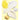 Voesh O2 FIZZ Pedi in a Box - 5-Step - Sparkling Limoncello / Case of 50 Treatment Sets