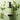 Voesh Vegan Body & Hand Creme - Detox Green Tea / 28 oz. - 829 mL.