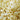 Waxness Wax Necessities White Chocolate Film Hard Wax Beads - Made in Italy / 2.2 lbs. - 35.27 oz. - 1 kg. Each X 4 Bags = 8.8 Lbs
