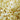 Waxness White Tea Cream Film Hard Wax Beads - Made in Italy / Bulk 22 lbs. - 10 kg.