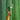Wet Brush Wicked Emerald City Kit - Totally Ozmopolitan
