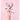 Wet Brush Wicked for Good Friendship 2.0 Brush Set