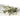 White Sage / 1 Lb. by AG Naturals