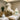 10 oz white plastic jar with pump lid - professional spa container for creams and lotions