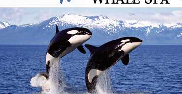 Whale of a Sale: Make a Splash with 25% Off Whale Spa Products!