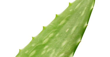 Skincare Superhero: Aloe!