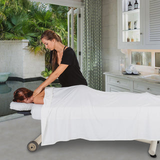 The Perfect Blend of Luxury and Functionality: Discover the Ellora Vista Lift Massage Table