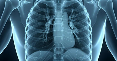 Wolf X-Ray Products Collection - Illuminators and Imaging Accessories for Professional Use