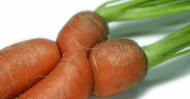 Eat Carrots for Bright Eyes, Apply Carrots for Luminous Skin!