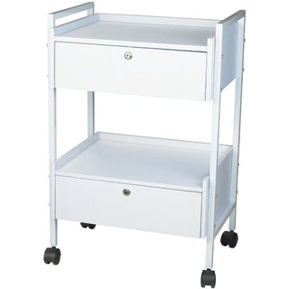 Elevate Your Beauty Space with the Gisela 2 Shelf + 2 Locking Drawer Beauty Trolley!