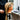 Mannequin Head for Salon and Spa Training at Pure Spa Direct