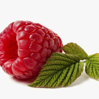 Berry Unique - Infuse Your Spa Menu with Berries for Results-Driven Treatments!